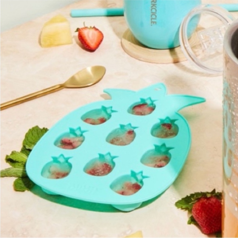 Blush ice mold  pineapple